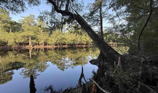 Photo #10 of 0.80 Acres-TBD Cantley Landing Rd., Andrews, SC 0.8 acres