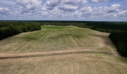Photo #9 of 83.03 Acres - Birch Creek Rd., Andrews, SC 83.0 acres