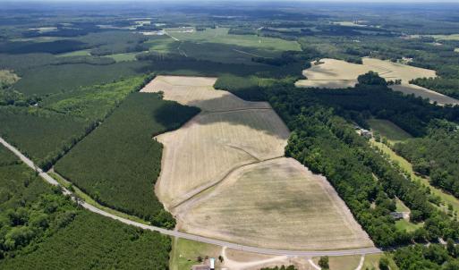 Photo #2 of 83.03 Acres - Birch Creek Rd., Andrews, SC 83.0 acres