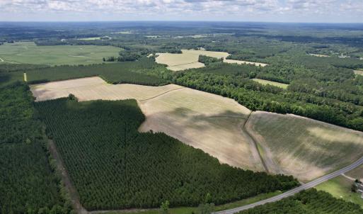 Photo #14 of 83.03 Acres - Birch Creek Rd., Andrews, SC 83.0 acres
