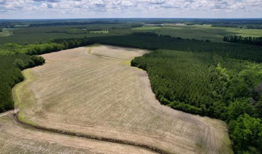 Photo #6 of 83.03 Acres - Birch Creek Rd., Andrews, SC 83.0 acres