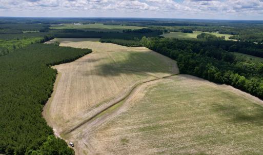 Photo #4 of 83.03 Acres - Birch Creek Rd., Andrews, SC 83.0 acres