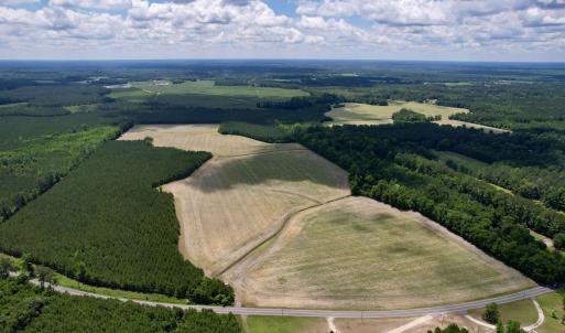 Photo #3 of 83.03 Acres - Birch Creek Rd., Andrews, SC 83.0 acres