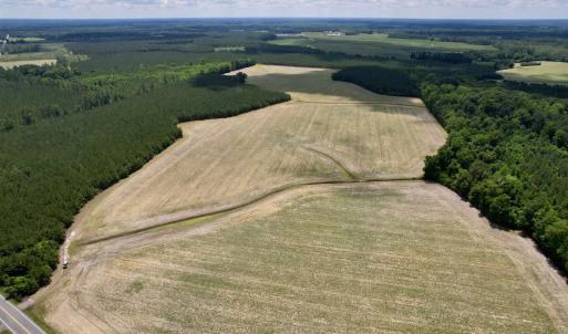Photo #1 of 83.03 Acres - Birch Creek Rd., Andrews, SC 83.0 acres