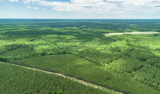 Photo #6 of Tract B Ten Acre Rd., Andrews, SC 4.7 acres