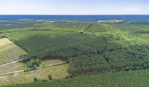 Photo #3 of Tract B Ten Acre Rd., Andrews, SC 4.7 acres