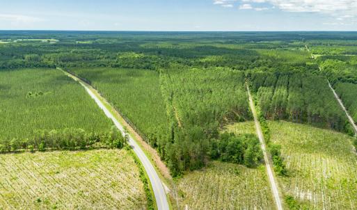 Photo #3 of Tract E Ten Acre Rd., Andrews, SC 16.3 acres