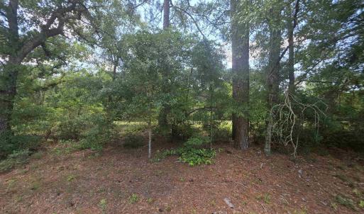 Photo #1 of TBD Highway 701 South, Conway, SC 1.7 acres