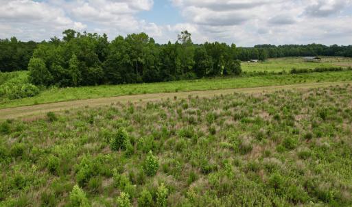 Photo #53 of Powell Rd., Green Sea, SC 69.0 acres