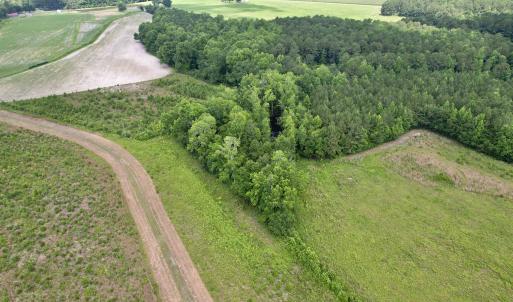 Photo #39 of Powell Rd., Green Sea, SC 69.0 acres