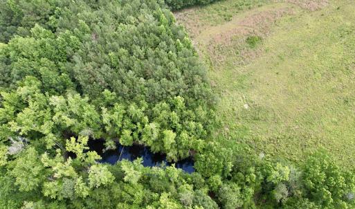 Photo #41 of Powell Rd., Green Sea, SC 69.0 acres