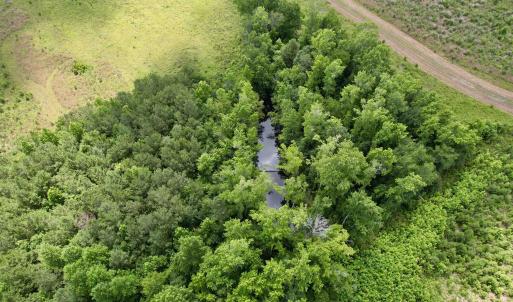 Photo #51 of Powell Rd., Green Sea, SC 69.0 acres