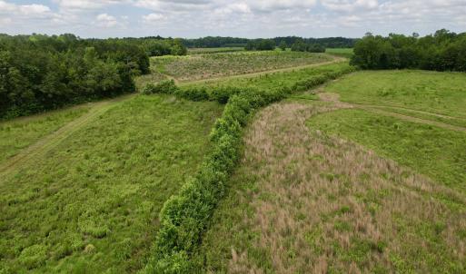 Photo #48 of Powell Rd., Green Sea, SC 69.0 acres