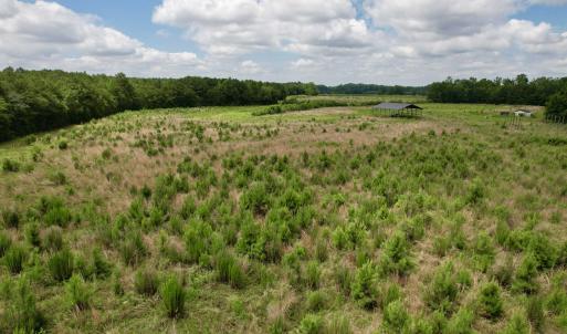 Photo #33 of Powell Rd., Green Sea, SC 69.0 acres