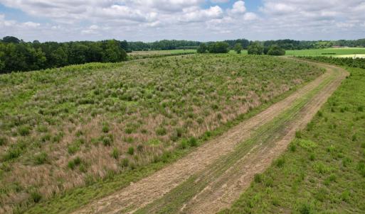 Photo #45 of Powell Rd., Green Sea, SC 69.0 acres