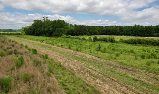 Photo #47 of Powell Rd., Green Sea, SC 69.0 acres