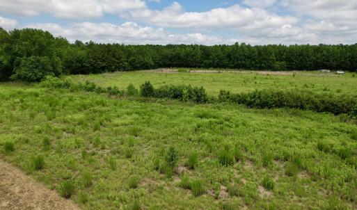 Photo #20 of Powell Rd., Green Sea, SC 69.0 acres