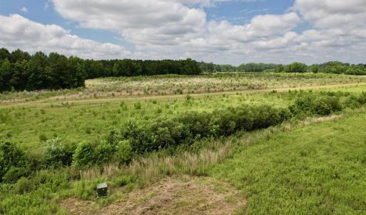 Photo #54 of Powell Rd., Green Sea, SC 69.0 acres