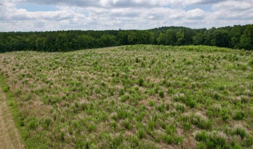 Photo #41 of Powell Rd., Green Sea, SC 69.0 acres