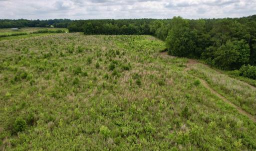 Photo #39 of Powell Rd., Green Sea, SC 69.0 acres