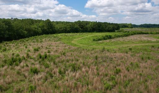 Photo #34 of Powell Rd., Green Sea, SC 69.0 acres