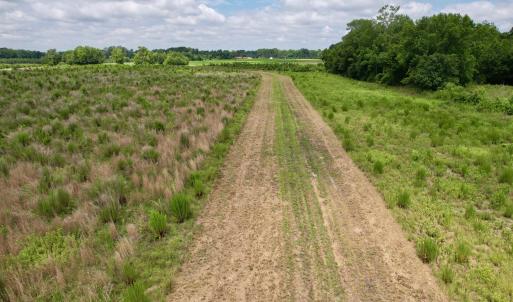 Photo #17 of Powell Rd., Green Sea, SC 69.0 acres