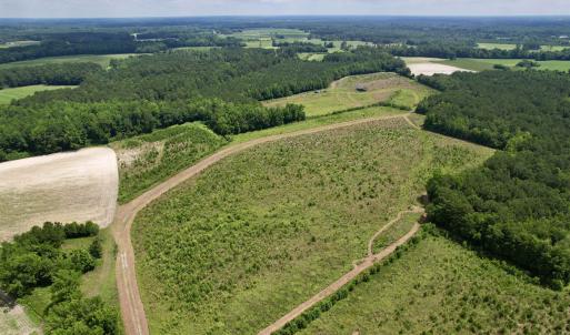 Photo #2 of Powell Rd., Green Sea, SC 69.0 acres