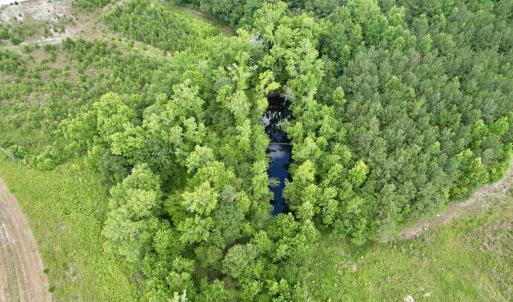 Photo #40 of Powell Rd., Green Sea, SC 69.0 acres