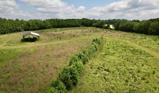 Photo #36 of Powell Rd., Green Sea, SC 69.0 acres