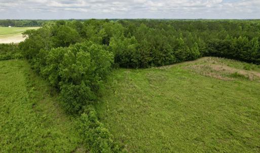 Photo #48 of Powell Rd., Green Sea, SC 69.0 acres