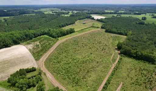 Photo #3 of Powell Rd., Green Sea, SC 69.0 acres