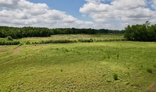 Photo #30 of Powell Rd., Green Sea, SC 69.0 acres
