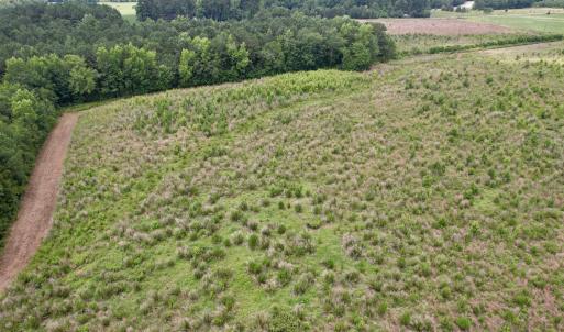Photo #19 of Powell Rd., Green Sea, SC 69.0 acres