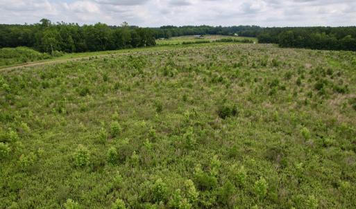 Photo #38 of Powell Rd., Green Sea, SC 69.0 acres