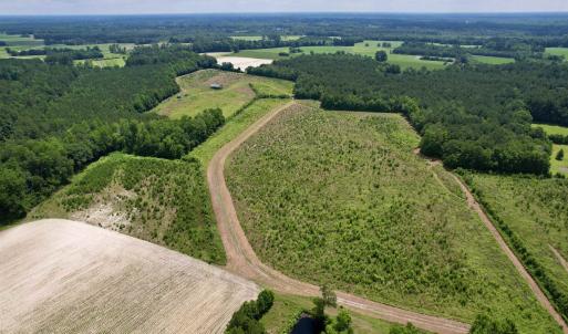Photo #5 of Powell Rd., Green Sea, SC 69.0 acres