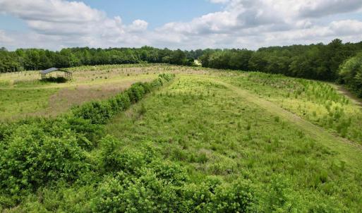 Photo #31 of Powell Rd., Green Sea, SC 69.0 acres