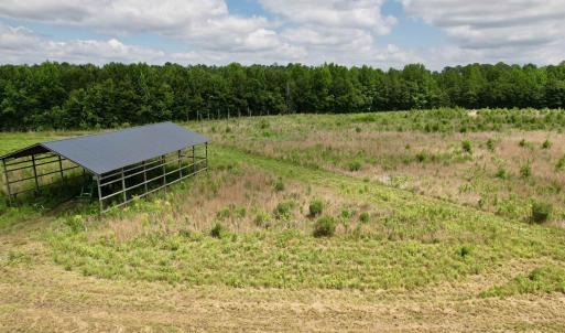 Photo #22 of Powell Rd., Green Sea, SC 69.0 acres
