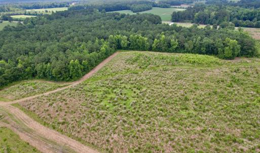 Photo #50 of Powell Rd., Green Sea, SC 69.0 acres