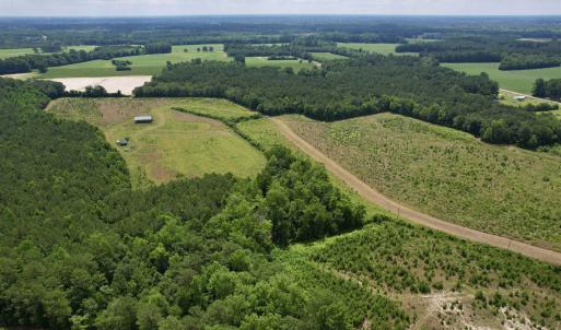 Photo #8 of Powell Rd., Green Sea, SC 69.0 acres