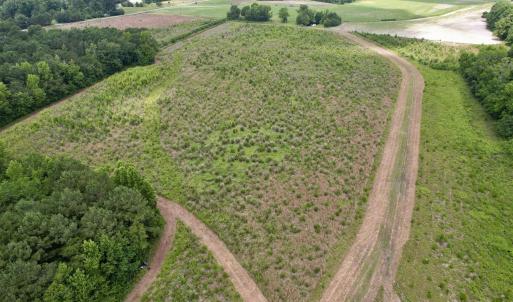Photo #18 of Powell Rd., Green Sea, SC 69.0 acres