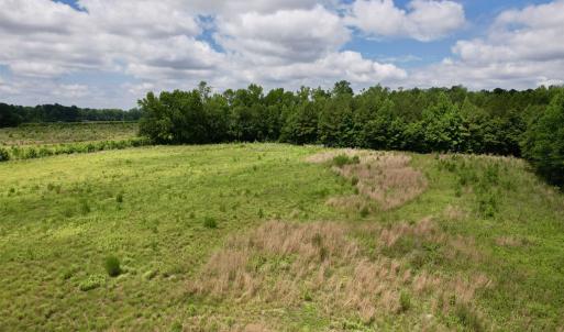 Photo #29 of Powell Rd., Green Sea, SC 69.0 acres