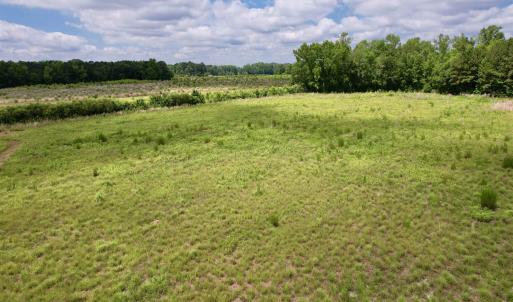 Photo #53 of Powell Rd., Green Sea, SC 69.0 acres