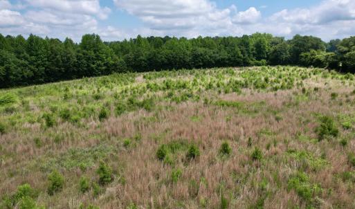 Photo #26 of Powell Rd., Green Sea, SC 69.0 acres
