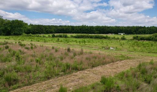 Photo #44 of Powell Rd., Green Sea, SC 69.0 acres