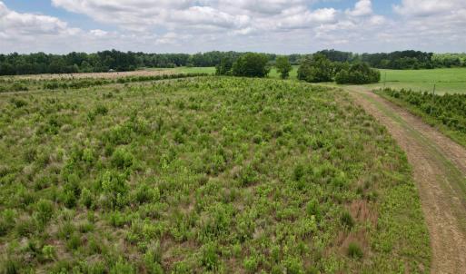 Photo #42 of Powell Rd., Green Sea, SC 69.0 acres