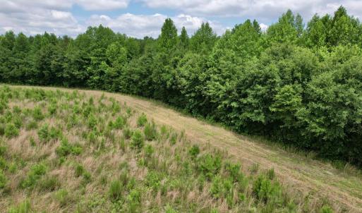 Photo #25 of Powell Rd., Green Sea, SC 69.0 acres