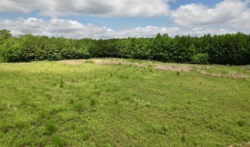 Photo #55 of Powell Rd., Green Sea, SC 69.0 acres