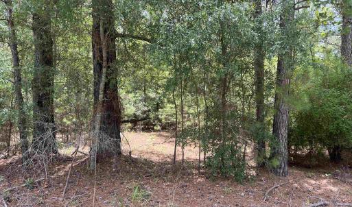 Photo #2 of TBD Ervin Road Ervin Rd., Andrews, SC 1.3 acres