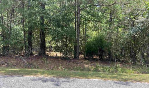 Photo #1 of TBD Ervin Road Ervin Rd., Andrews, SC 1.3 acres