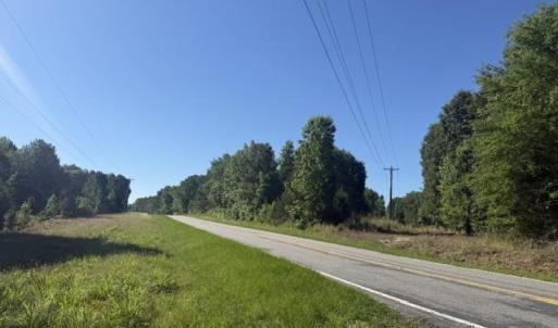 Photo #3 of 491 Crow Ln., Pageland, SC 60.0 acres